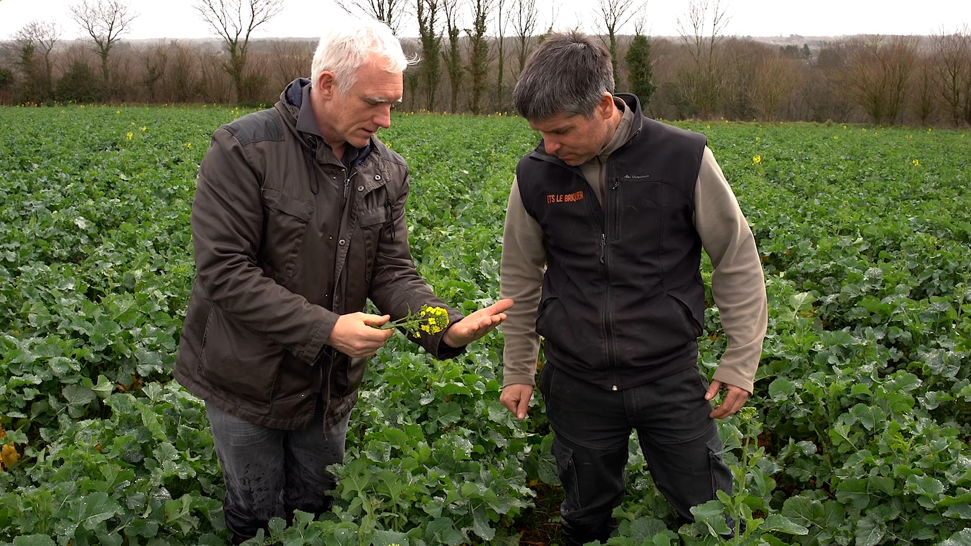 Agriculteur et technicien