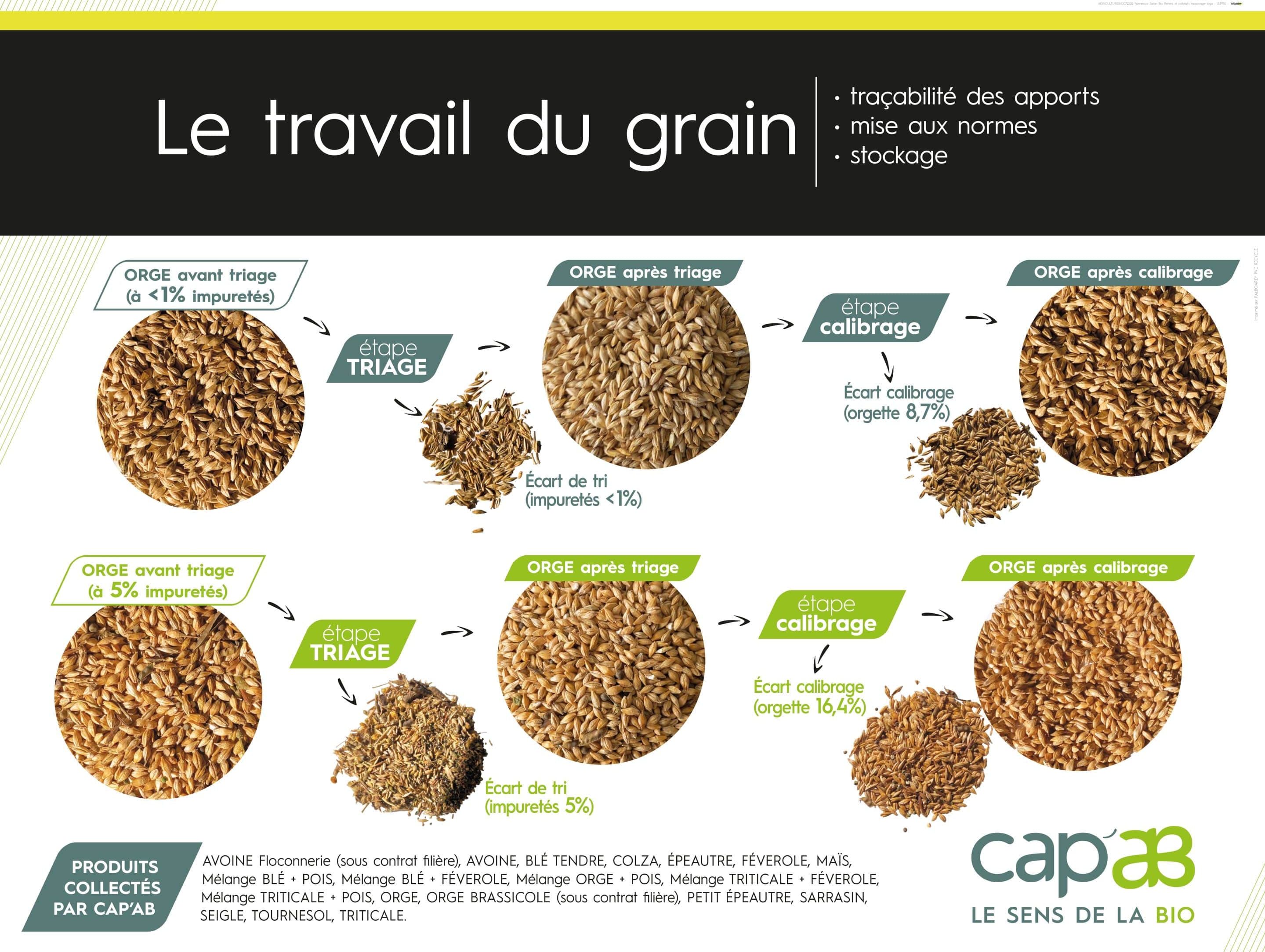 Panneaux travail du grain_page-0001