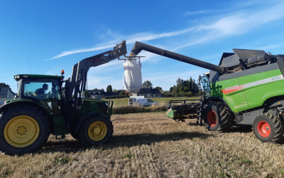 La collecte céréales 2023 et Marché