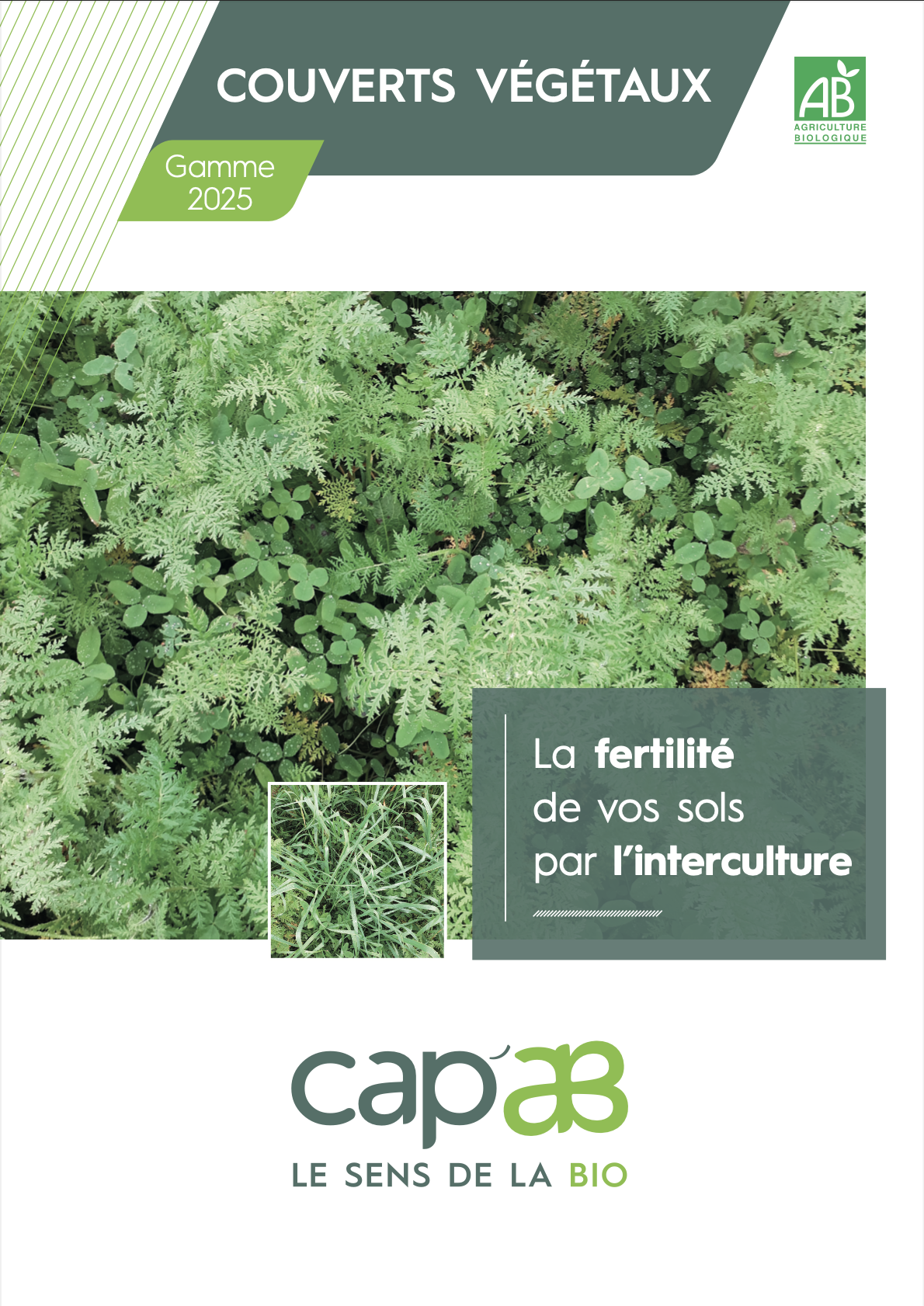 Plaquette couverts cap'AB 2025